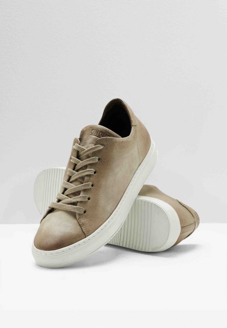 Cinque sneaker 52117  